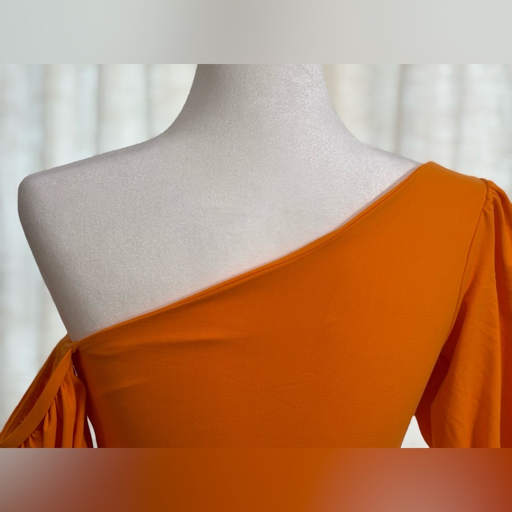 π Susana Monaco Pumpkin Spice Midi Bodycon Dress Size Small π - Picture 4 of 8